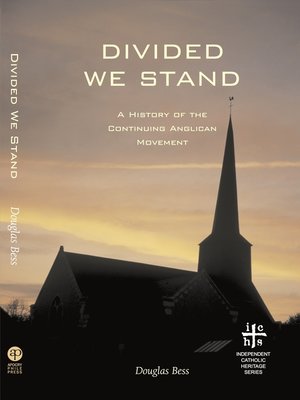 cover image of Divided We Stand